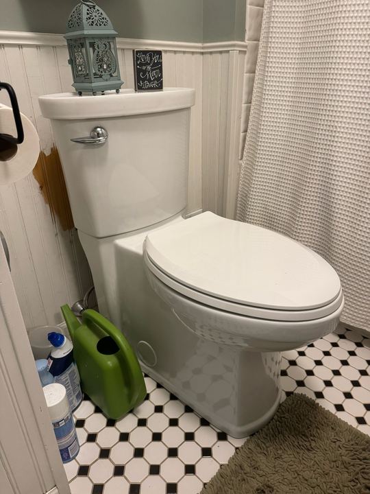 Toilet replacement